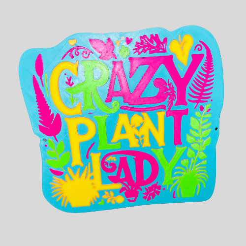 Crazy Plant Lady Sign – Funny Plant Lover Home Décor