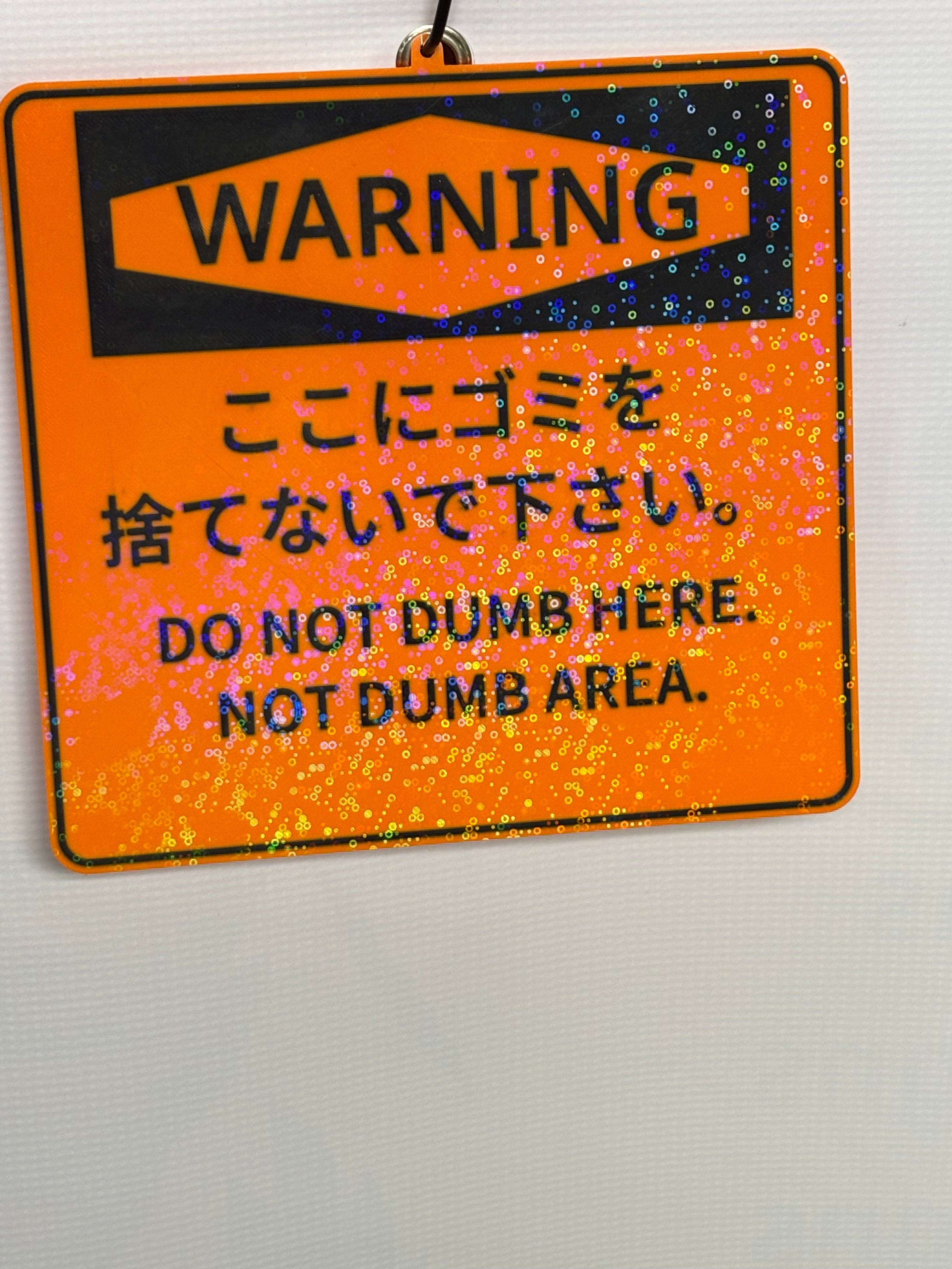 "Do Not Dumb Here/ Not Dumb Area" Japanese Funny Decor Sign